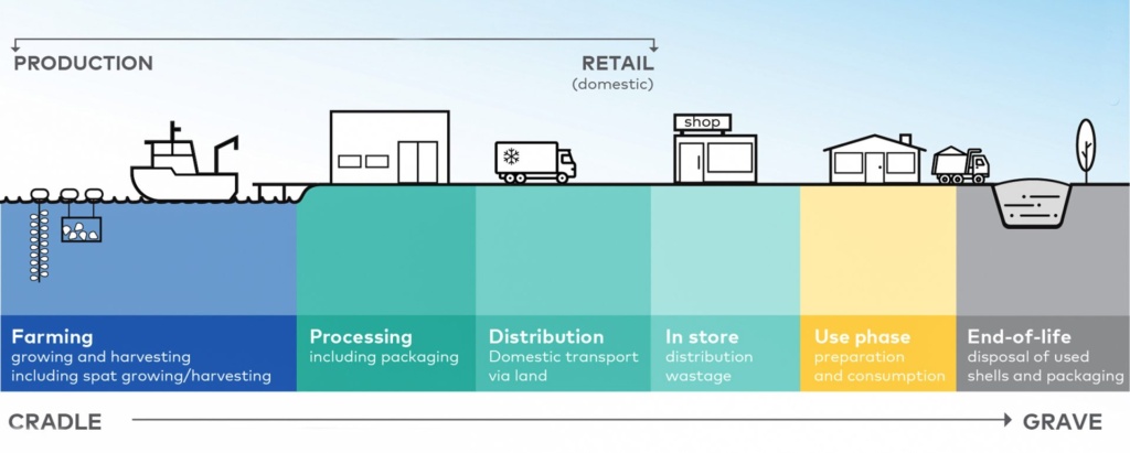 Life Cycle Assessment