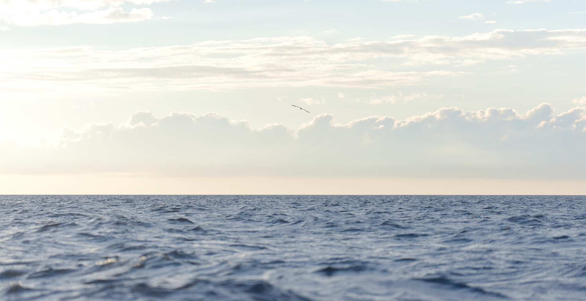 Photo by Alex Stemmer, Adobe Stock.